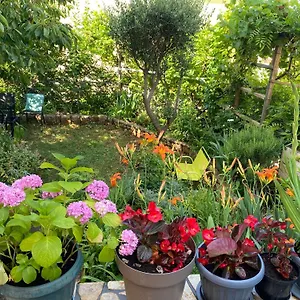 https://apartment-ally.primorje-gorskikotar.com