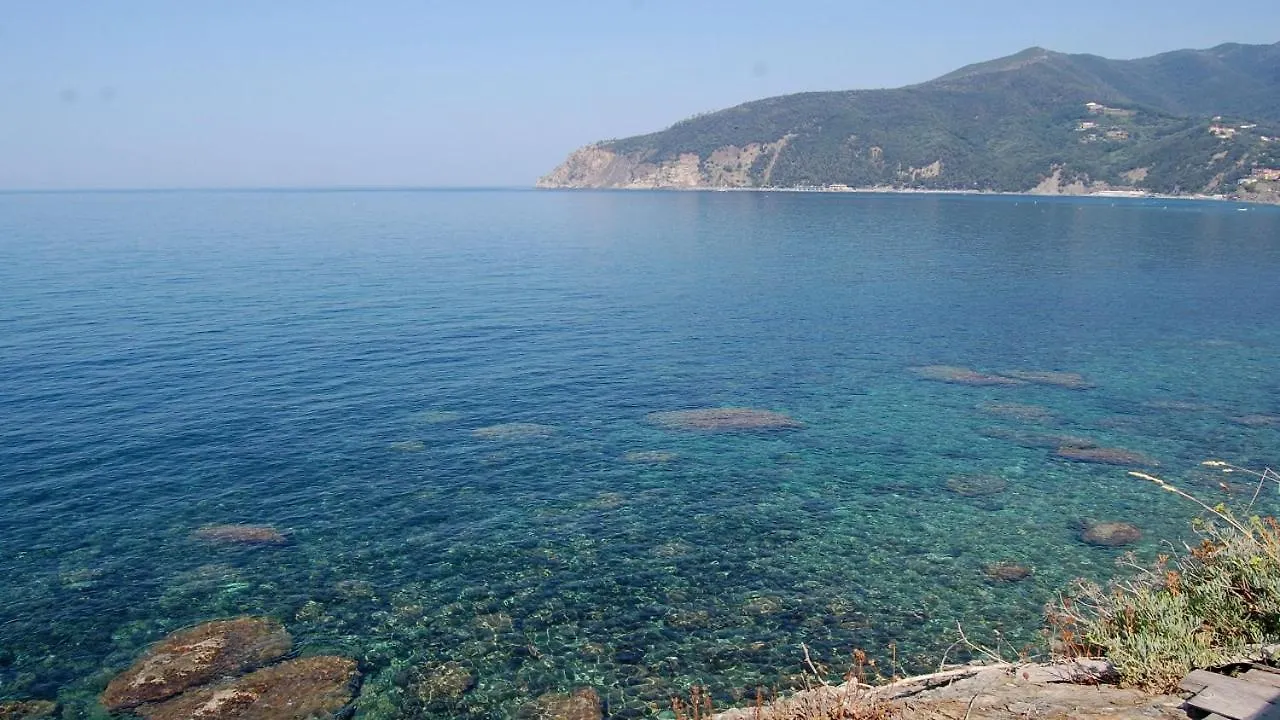 Il Rospo Hotel Moneglia Campsite